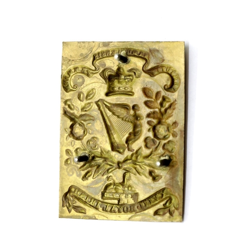 3098 - Victorian type Irish brass belt plate. P&P Group 1 (£14+VAT for the first lot and £1+VAT for subsequ... 