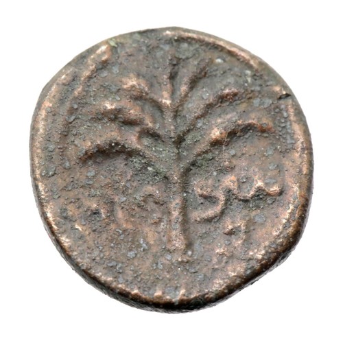 1239 - Carthage / Holy Lands Bronze unit - Grapes and Palm Tree. P&P Group 1 (£14+VAT for the first lot and... 