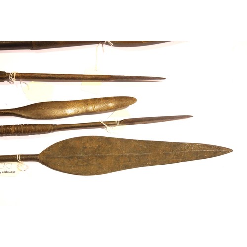 3247 - Collection of 19th century African spears, longest L: 152 cm. Not available for in-house P&P