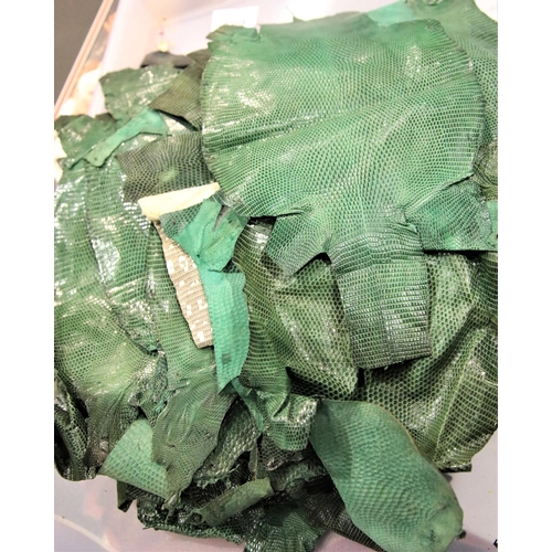 3308 - Quantity of green lizard skins. P&P Group 3 (£25+VAT)