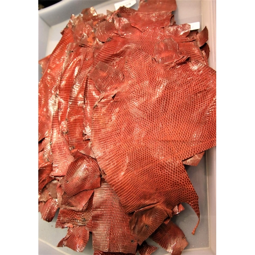 3309 - Quantity of red lizard skins. P&P Group 3 (£25+VAT)