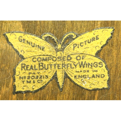 1287 - Three vintage butterfly wing pictures. P&P Group 3 (£25+VAT for the first lot and £5+VAT for subsequ... 