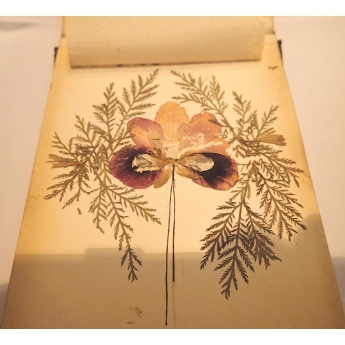 149 - Olive wood cased album of pressed flowers from Jerusalem. P&P Group 1 (£14+VAT for the first lot and... 