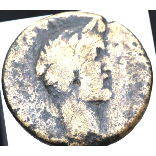 1148 - Roman Bronze of Trajan AE2/3 - Date palm planted reverse. P&P Group 1 (£14+VAT for the first lot and... 