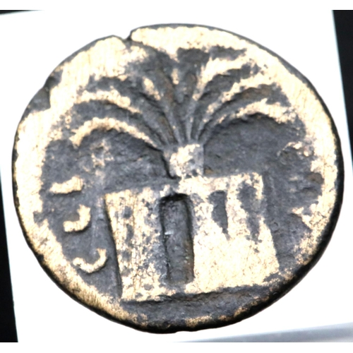 1148 - Roman Bronze of Trajan AE2/3 - Date palm planted reverse. P&P Group 1 (£14+VAT for the first lot and... 