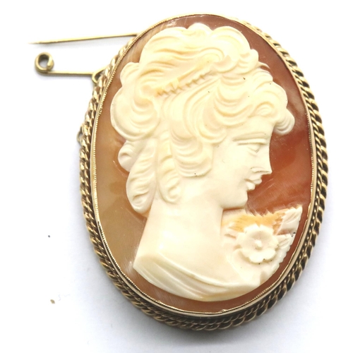 1134 - 9ct gold mounted Cameo brooch, 15.3g, boxed. P&P Group 1 (£14+VAT for the first lot and £1+VAT for s... 