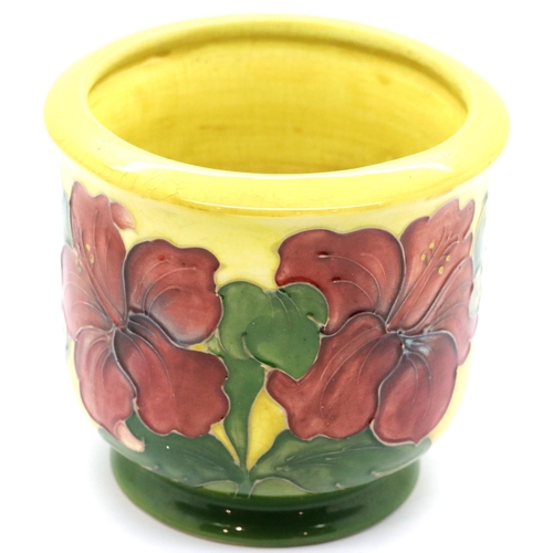 1341 - Moorcroft yellow and green ground Hibiscus planter, H: 13 cm. P&P Group 2 (£18+VAT for the first lot... 