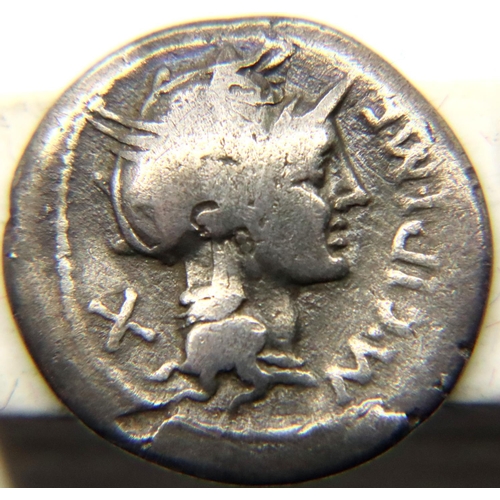 2400 - 115BC - Silver Roman Denarius of the Republic - Cipia with Biga of horses. P&P Group 1 (£14+VAT for ... 