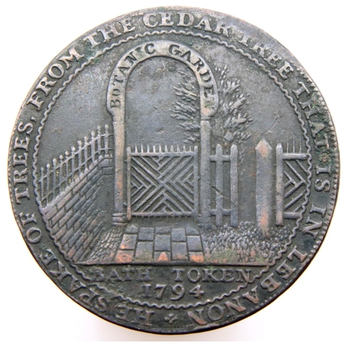 3189 - 1794 - Bath token 