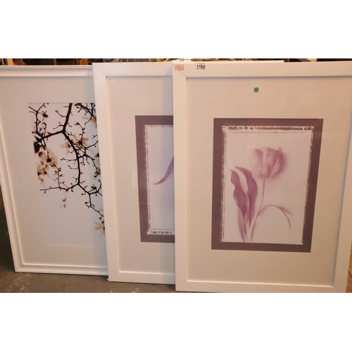 1165 - Large white framed and glazed floral prints. Not available for in-house P&P, contact Paul O'Hea at M... 