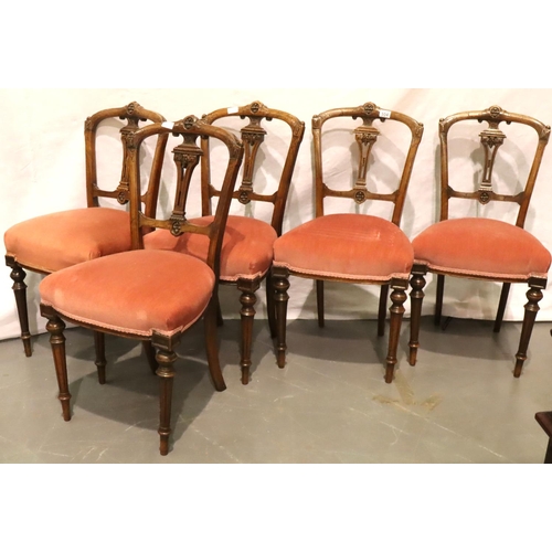 554 - Five Victorian walnut framed upholstered dining chairs on turned and tapered supports. Not available... 