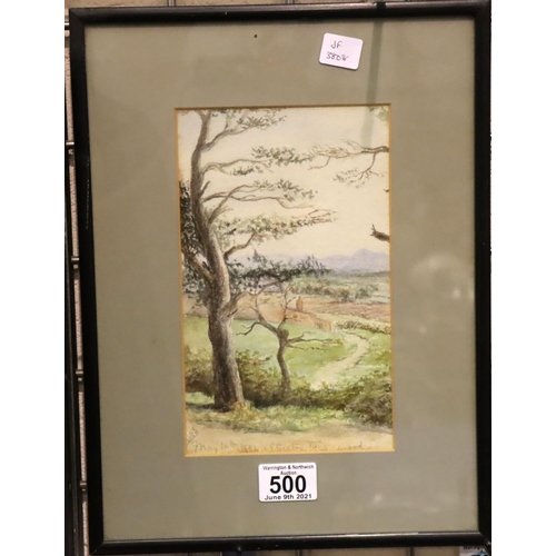 500 - LHS; a Victorian watercolour Stretton Pine Wood May 10th 1884, 14 x 23 cm. Not available for in-hous... 