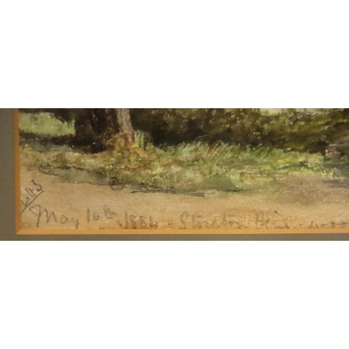 500 - LHS; a Victorian watercolour Stretton Pine Wood May 10th 1884, 14 x 23 cm. Not available for in-hous... 