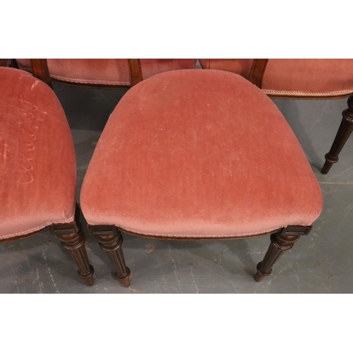 554 - Five Victorian walnut framed upholstered dining chairs on turned and tapered supports. Not available... 