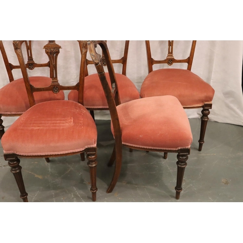 554 - Five Victorian walnut framed upholstered dining chairs on turned and tapered supports. Not available... 