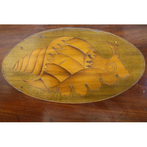 335 - An Edwardian shell inlaid mahogany oval tray, L: 69 cm. P&P Group 3 (£25+VAT for the first lot and £... 