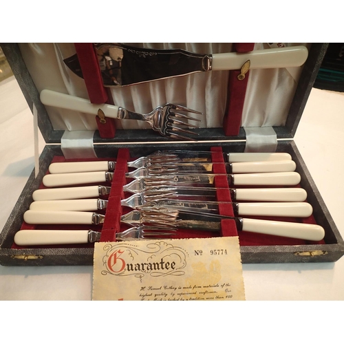 1102 - Cased fish knife, fork and server set. P&P Group 2 (£18+VAT for the first lot and £3+VAT for subsequ... 