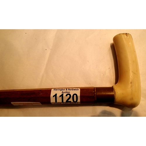 Lot 1120      