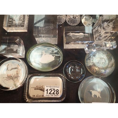 1228 - Collection of picture glass and resin paperweights.  Not available for in-house P&P, contact Paul O'... 