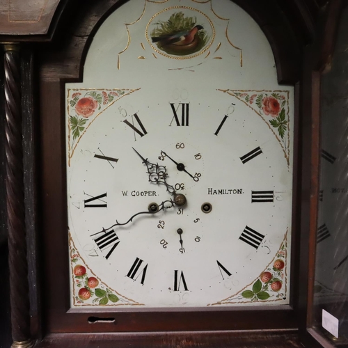 251 - William Cooper Hamilton mahogany longcase clock with painted dial, Roman Chapters and subsidiary sec... 