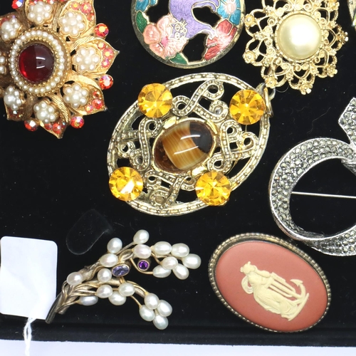 93 - Selection of costume jewellery brooches. P&P Group 1 (£14+VAT for the first lot and £1+VAT for subse... 