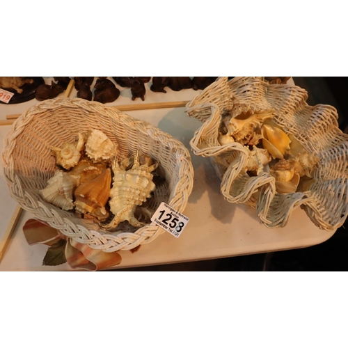 1258 - Two baskets of mixed conch shells. Not available for in-house P&P, contact Paul O'Hea at Mailboxes o... 