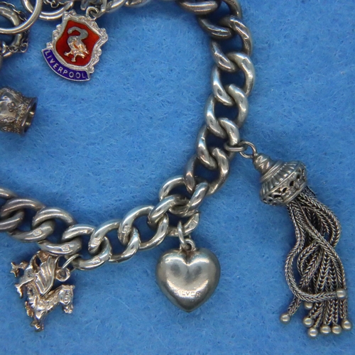 16A - Silver charm bracelet with seven charms. P&P Group 1 (£14+VAT for the first lot and £1+VAT for subse... 