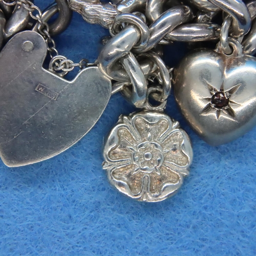 16A - Silver charm bracelet with seven charms. P&P Group 1 (£14+VAT for the first lot and £1+VAT for subse... 