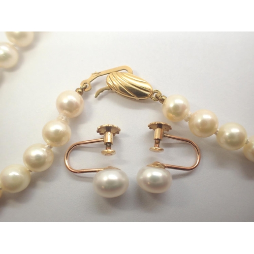 55 - Pearl necklace with a 9ct gold clasp and matching screw back earrings, chain L: 45 cm, combined 26.0... 