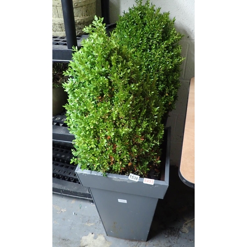 1538 - Pair of shrubs in metal planters, both H: 100 cm. Not available for in-house P&P, contact Paul O'Hea... 