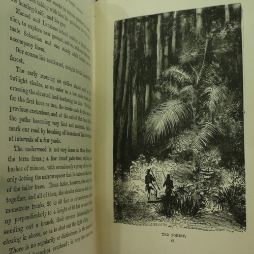 341 - Leather bound copy of Half Hours in Woods and Wilds 1880 and a five volume set of The Romance of Nat... 