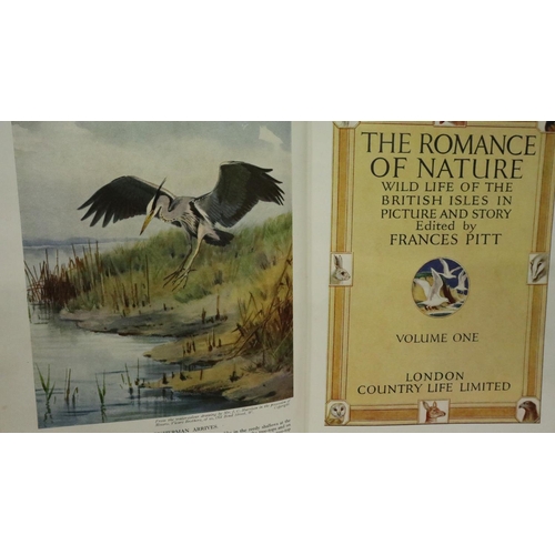 341 - Leather bound copy of Half Hours in Woods and Wilds 1880 and a five volume set of The Romance of Nat... 