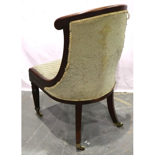 3144 - Late 18th/early 19th century walnut framed salon chair, having reeded supports and brass castors. No... 