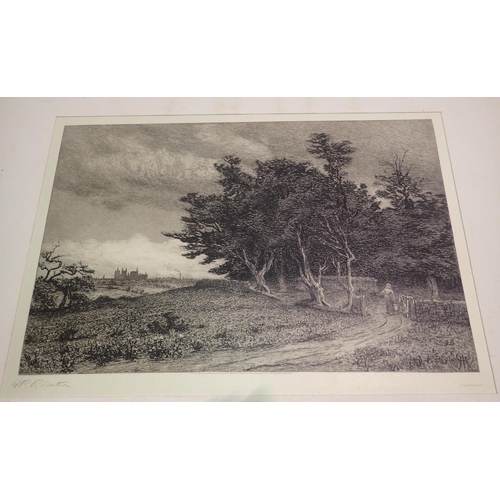 3074 - H R Robertson? etching, A Copse, 41 x 26 cm. Not available for in-house P&P, contact Paul O'Hea at M... 