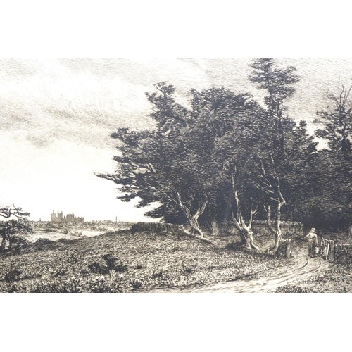 3074 - H R Robertson? etching, A Copse, 41 x 26 cm. Not available for in-house P&P, contact Paul O'Hea at M... 