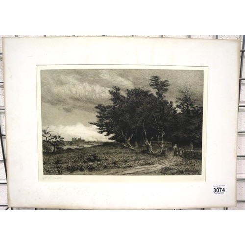 3074 - H R Robertson? etching, A Copse, 41 x 26 cm. Not available for in-house P&P, contact Paul O'Hea at M... 