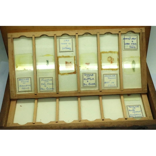 93 - Late 18th/early 20th century storage box with microscope slides, includes human cell and tissue samp... 