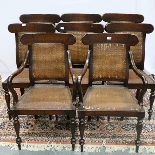 3179 - Set of eight modern stained pine dining chairs. (6 + 2)Not available for in-house P&P, contact Paul ... 