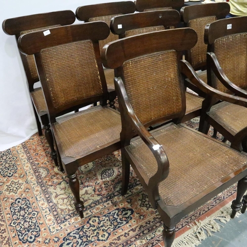 3179 - Set of eight modern stained pine dining chairs. (6 + 2)Not available for in-house P&P, contact Paul ... 