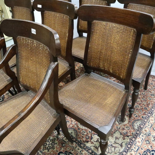 3179 - Set of eight modern stained pine dining chairs. (6 + 2)Not available for in-house P&P, contact Paul ... 