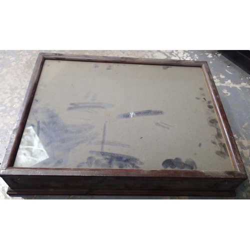 1199 - Lined display box with glass lid, 40 x 60 cm. Not available for in-house P&P, contact Paul O'Hea at ... 