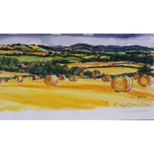 3009 - Richard Bramble (b. 1968): colour print, Farmers Field, each pencil signed, 70 x 30 cm. Not availabl... 