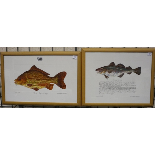 3040 - Richard Bramble (b. 1968): two colour prints, Fish, each pencil signed, 34 x 27 cm. Not available fo... 