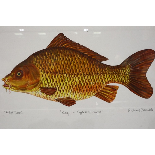 3040 - Richard Bramble (b. 1968): two colour prints, Fish, each pencil signed, 34 x 27 cm. Not available fo... 