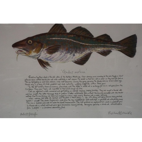 3040 - Richard Bramble (b. 1968): two colour prints, Fish, each pencil signed, 34 x 27 cm. Not available fo... 