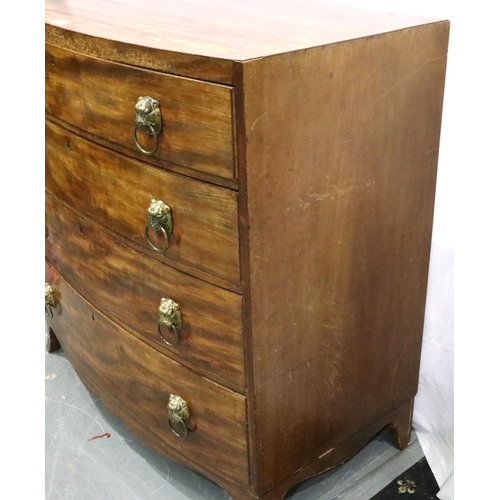 3066 - A George III inlaid walnut chest of four long drawers, bow front with lion mask handles, 101 x 56 x ... 