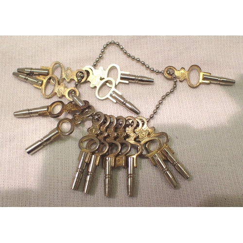 1134 - Complete set of fourteen antique type pocket watch keys. P&P Group 1 (£14+VAT for the first lot and ... 