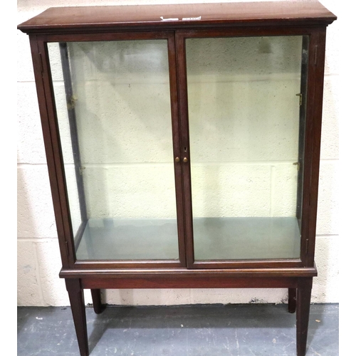 3109 - A late 19th/early 20th century door vitrine/curios cabinet, with two internal glass shelves and of d... 