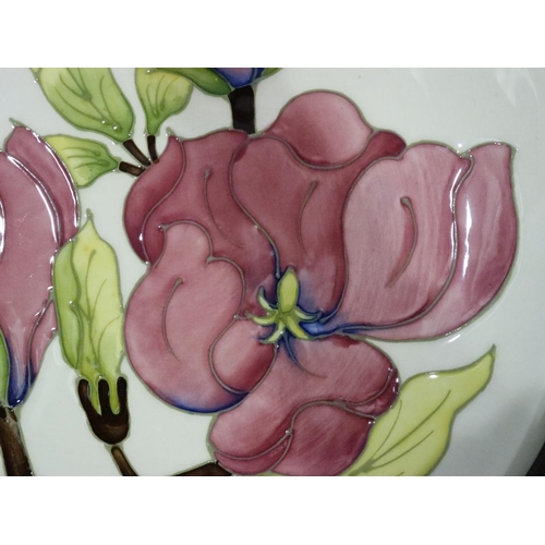 278 - Moorcroft framed plate in the Magnolia pattern, D: 25 cm. No cracks, chips or visible restoration. P... 