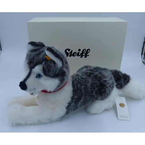 2147 - Steiff 104954 Huskie, yellow label, boxed, L: 57 cm. P&P Group 1 (£14+VAT for the first lot and £1+V... 